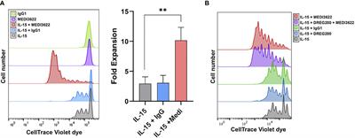 Activation of ADAM17 by IL-15 Limits Human NK Cell Proliferation